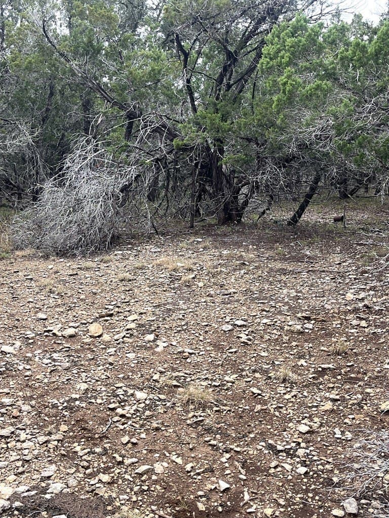 30.8 acres in Real County - photo 28
