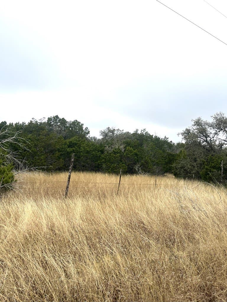 30.8 acres in Real County - photo 8