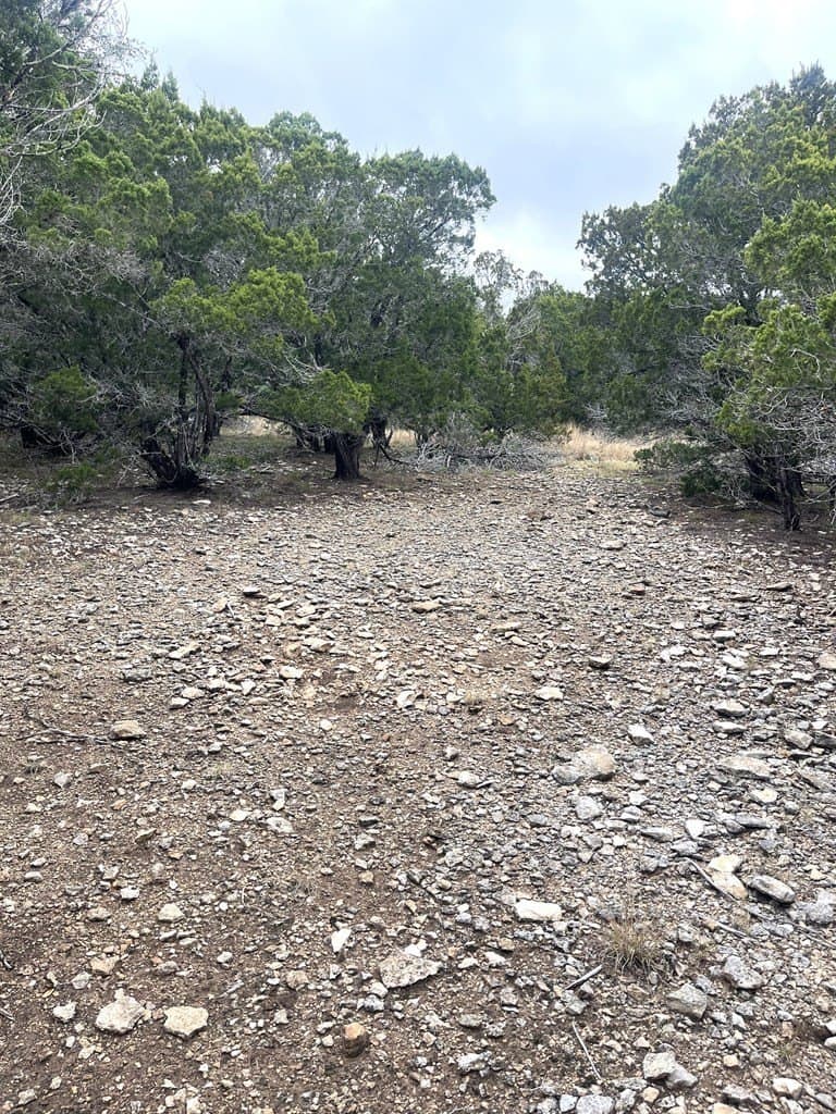 30.8 acres in Real County - photo 18