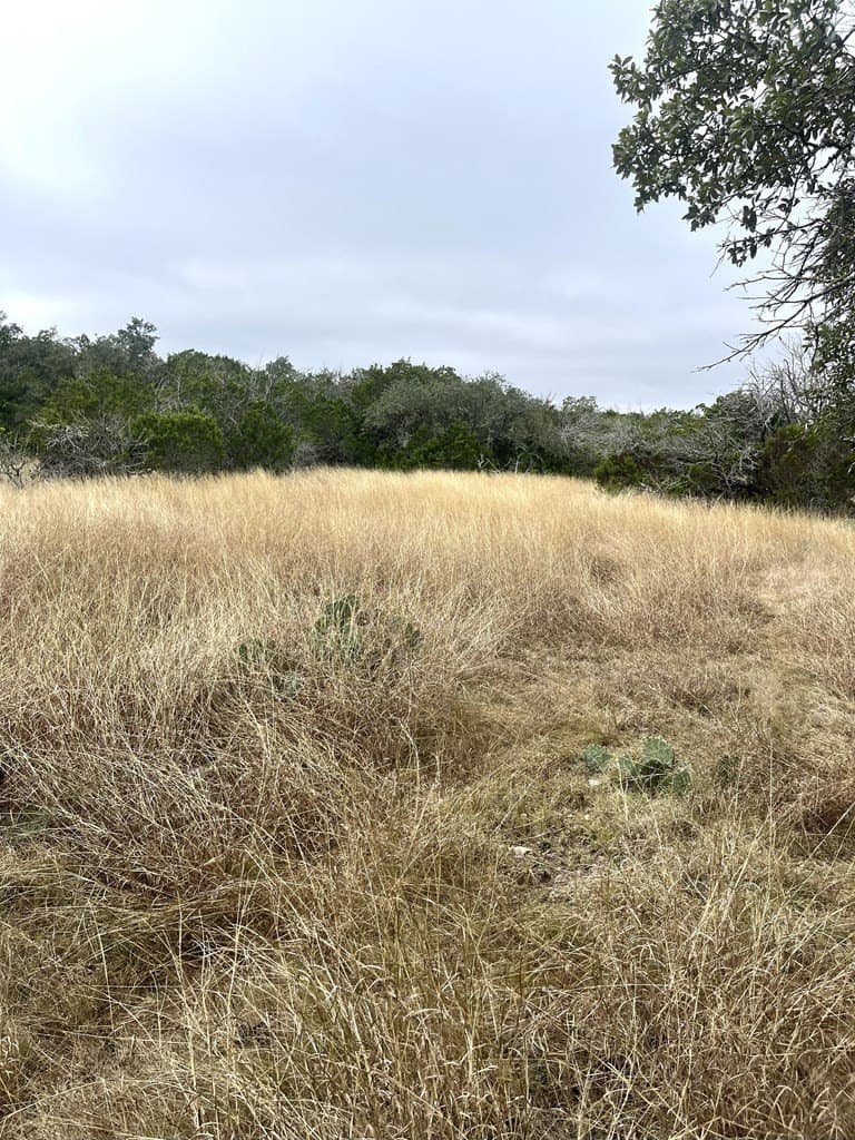 30.8 acres in Real County - photo 34