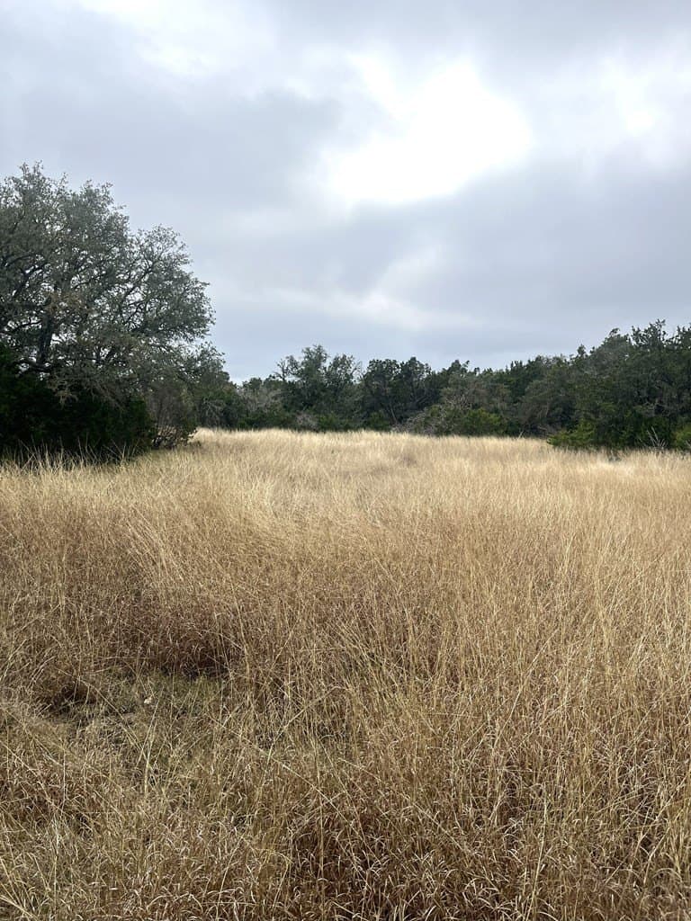 30.8 acres in Real County - photo 35