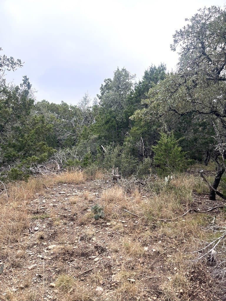30.8 acres in Real County - photo 16
