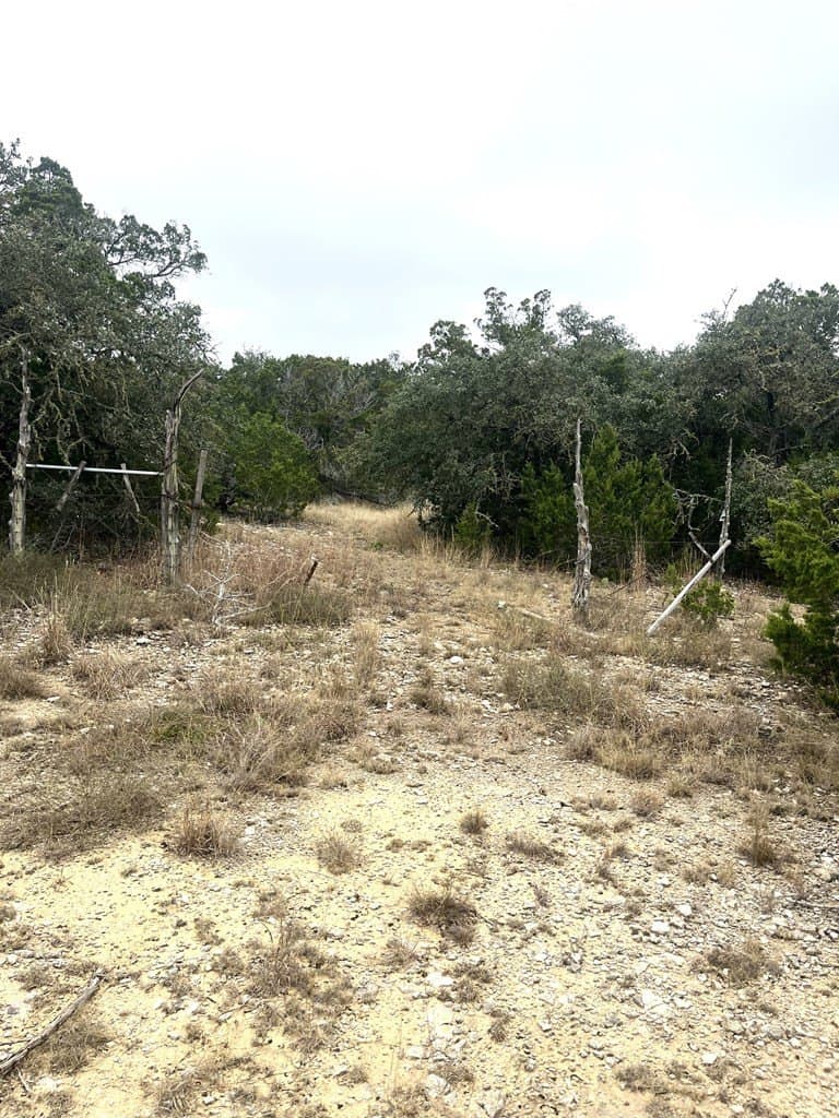 30.8 acres in Real County - photo 10