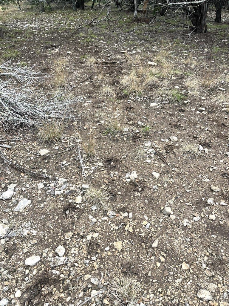 30.8 acres in Real County - photo 20