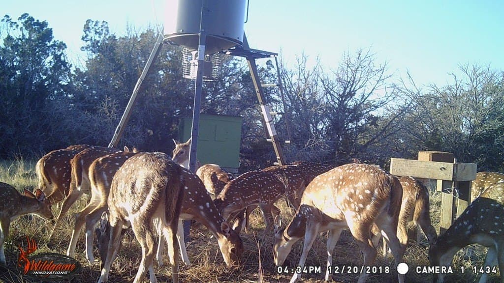 30.8 acres in Real County - photo 44