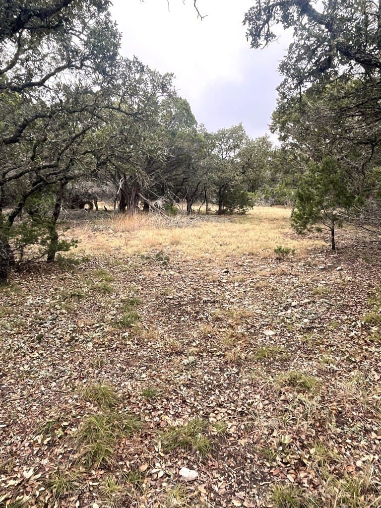 30.8 acres in Real County - photo 22