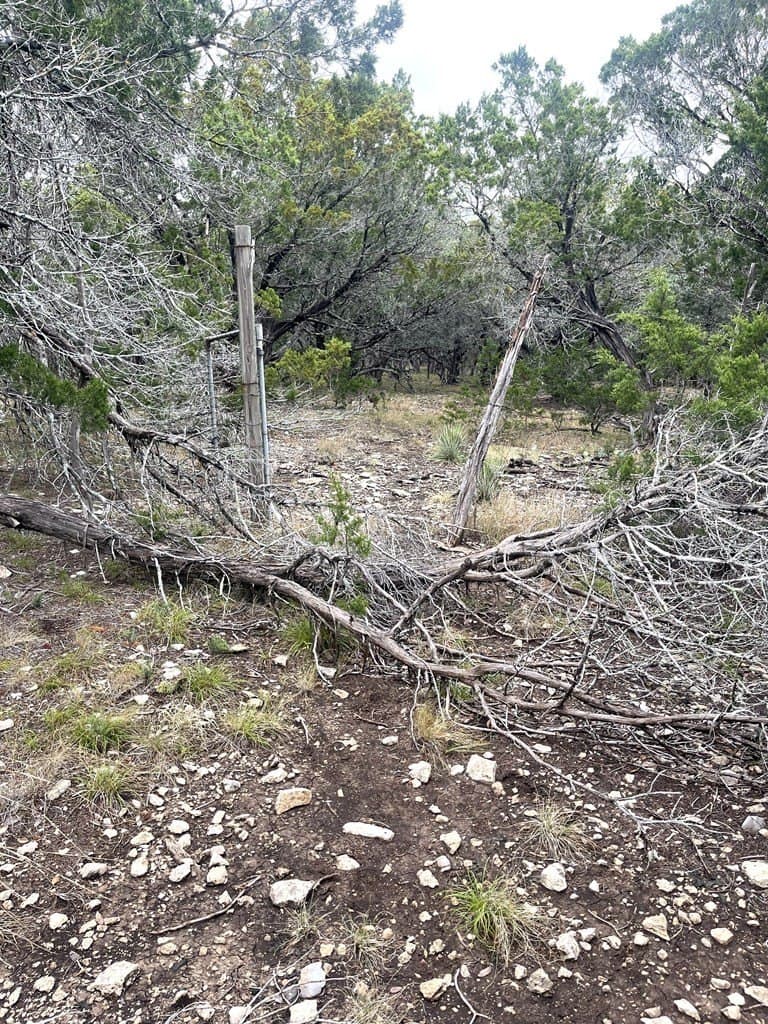 30.8 acres in Real County - photo 29