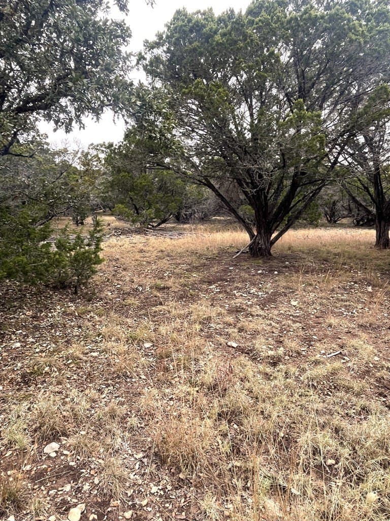 30.8 acres in Real County - photo 23