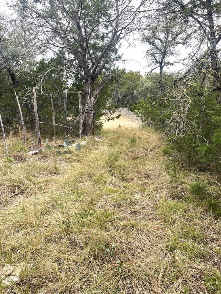 30.8 acres in Real County - photo 33