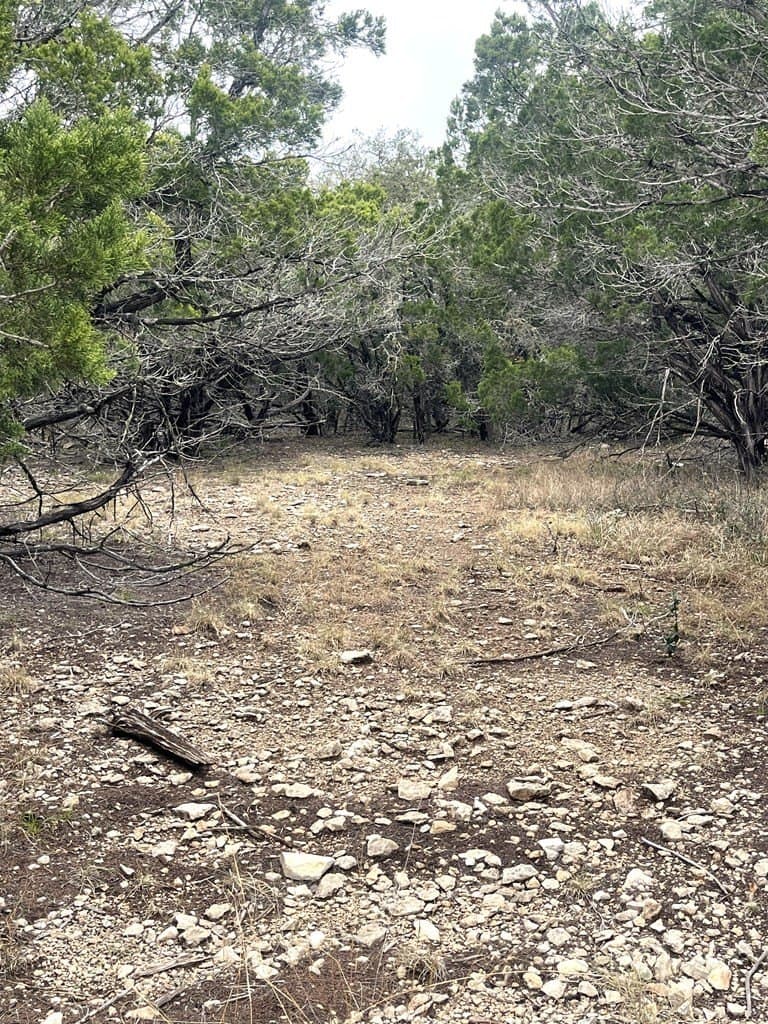 30.8 acres in Real County - photo 27