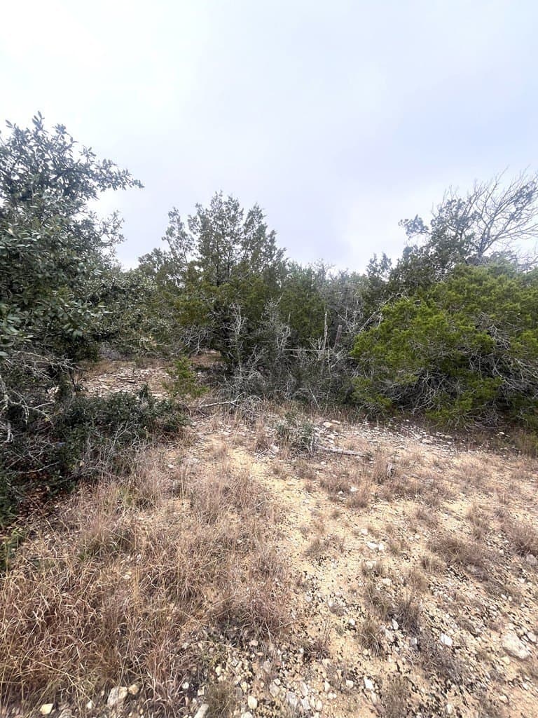 30.8 acres in Real County - photo 12