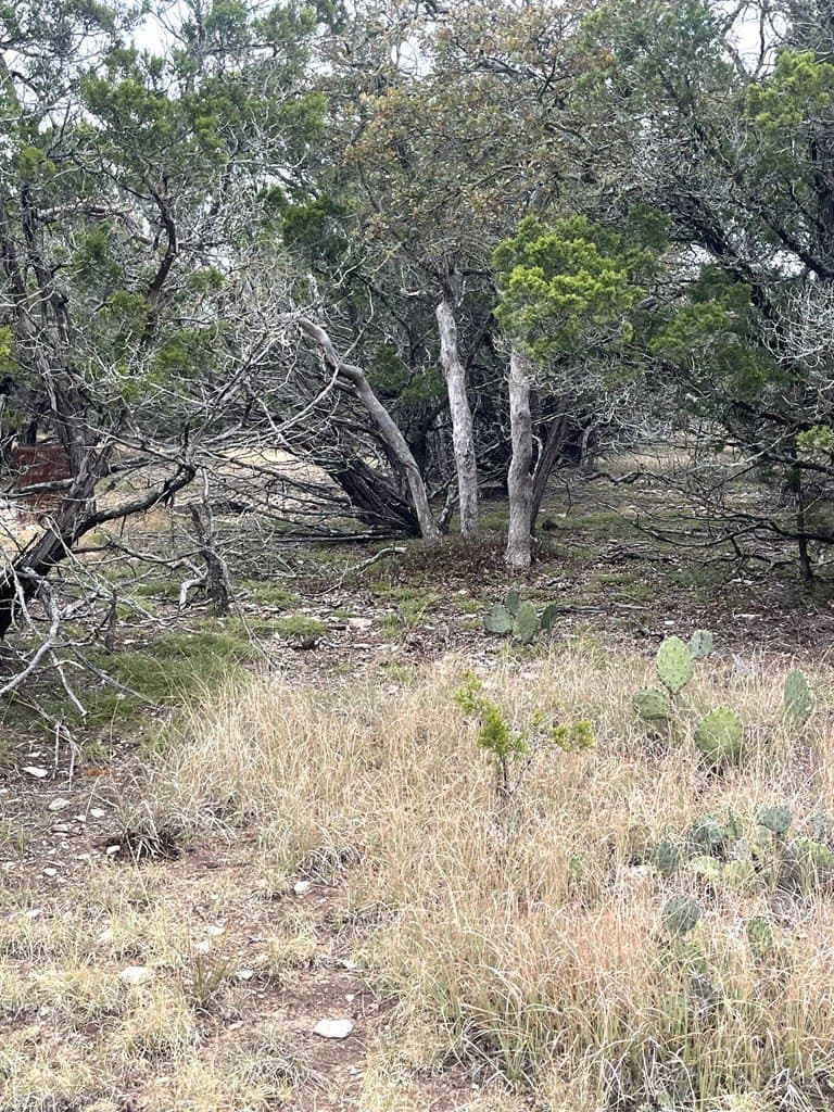 30.8 acres in Real County - photo 26