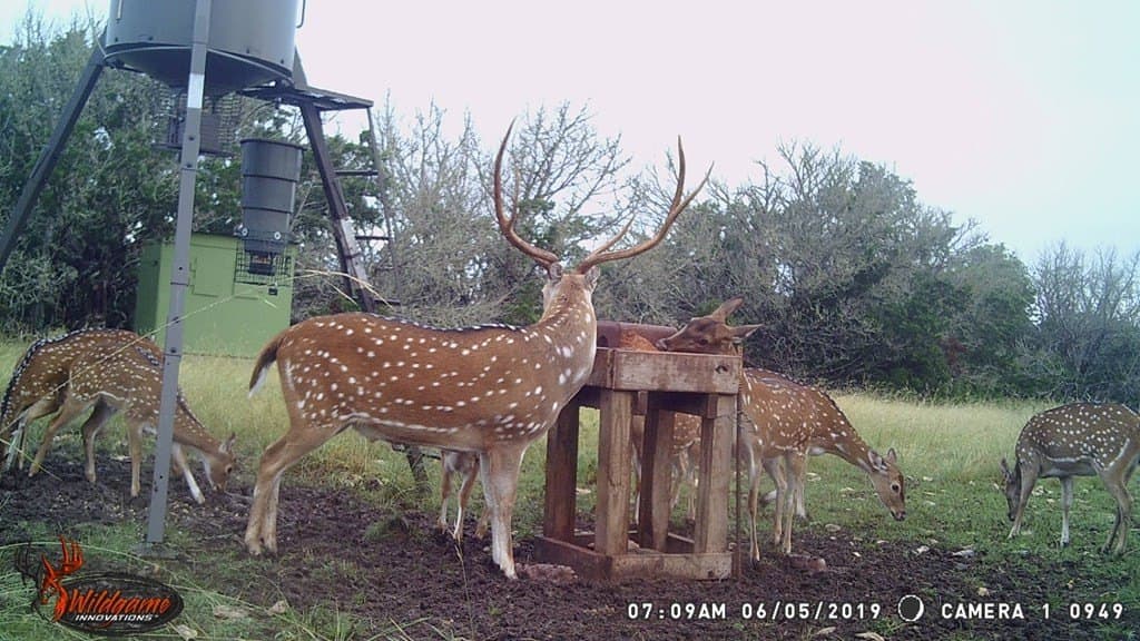 30.8 acres in Real County - photo 42