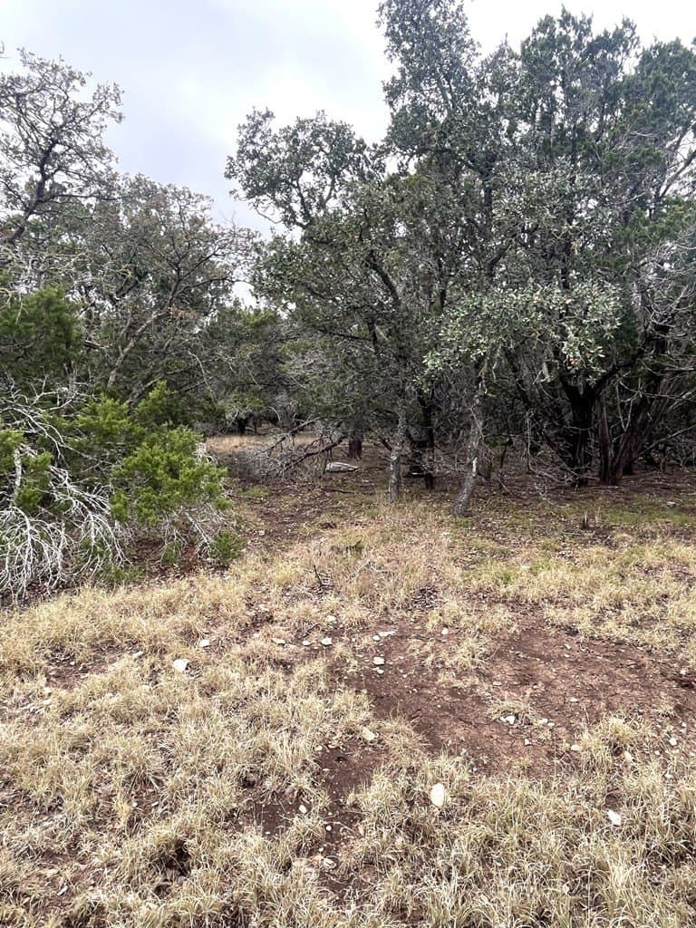 30.8 acres in Real County - photo 24