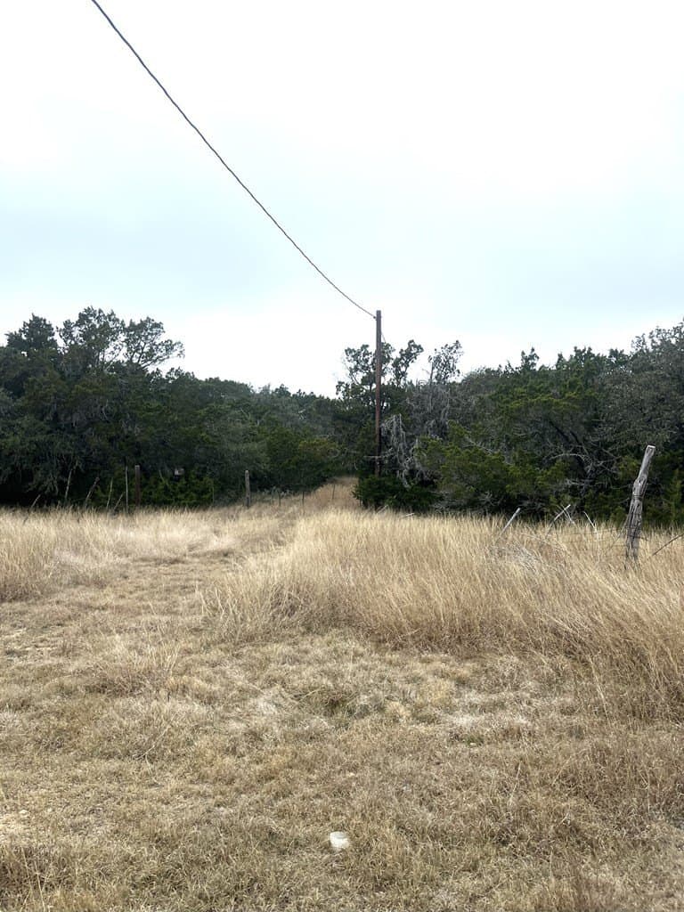 30.8 acres in Real County gallery image 3