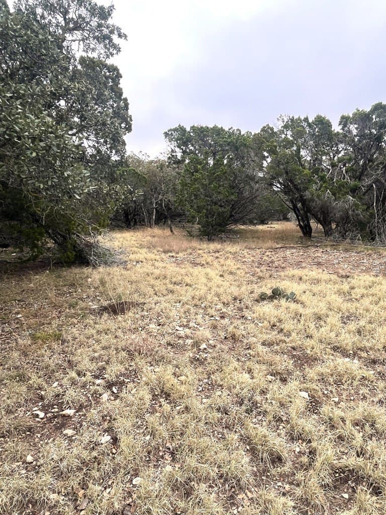 30.8 acres in Real County - photo 25