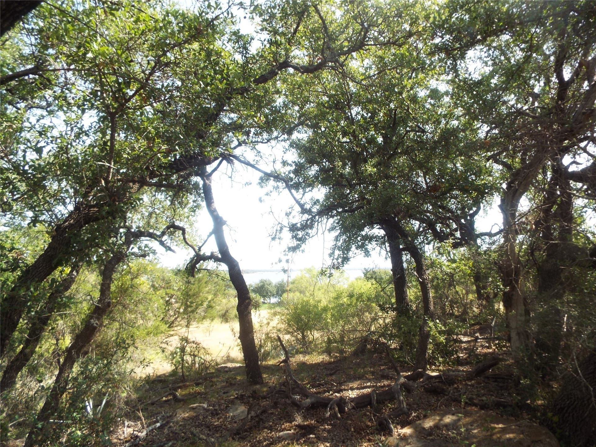 0.33 acres in Brown County featured view