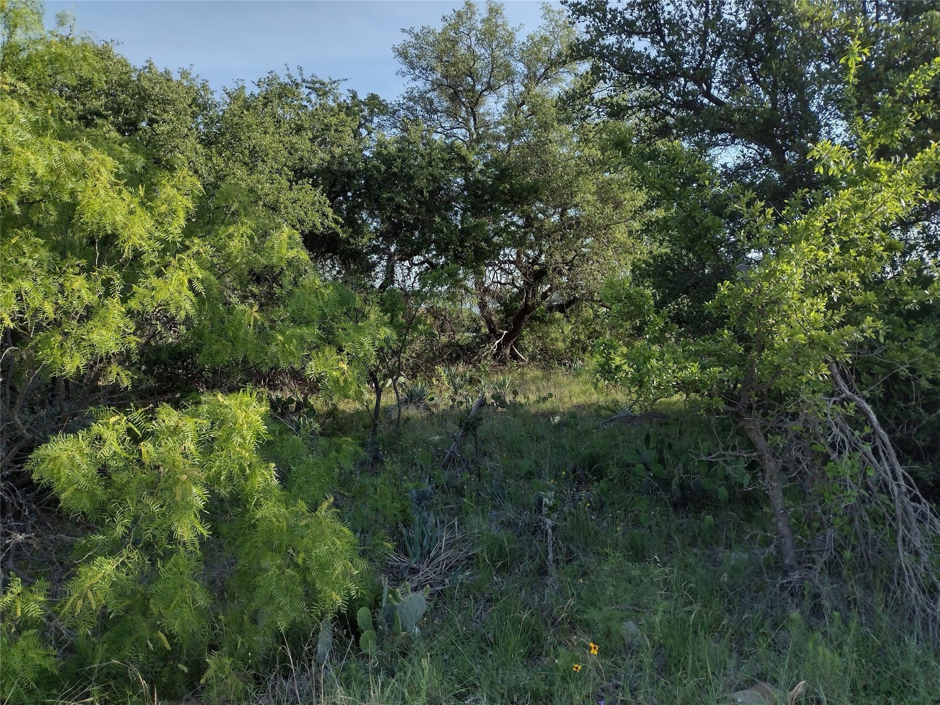 0.33 acres in Brown County gallery image 3