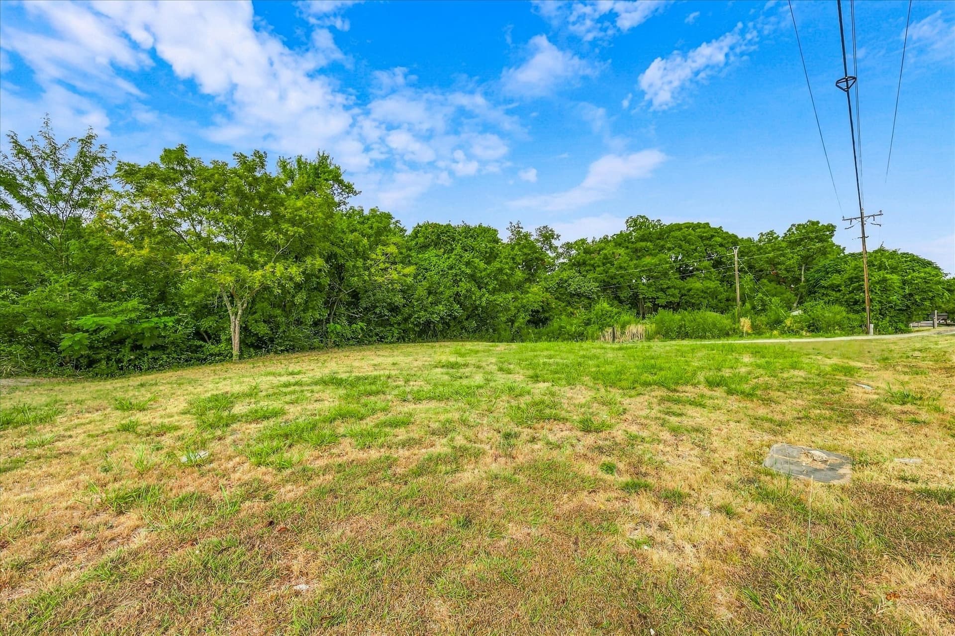 2.67 acres in Dallas County - photo 3