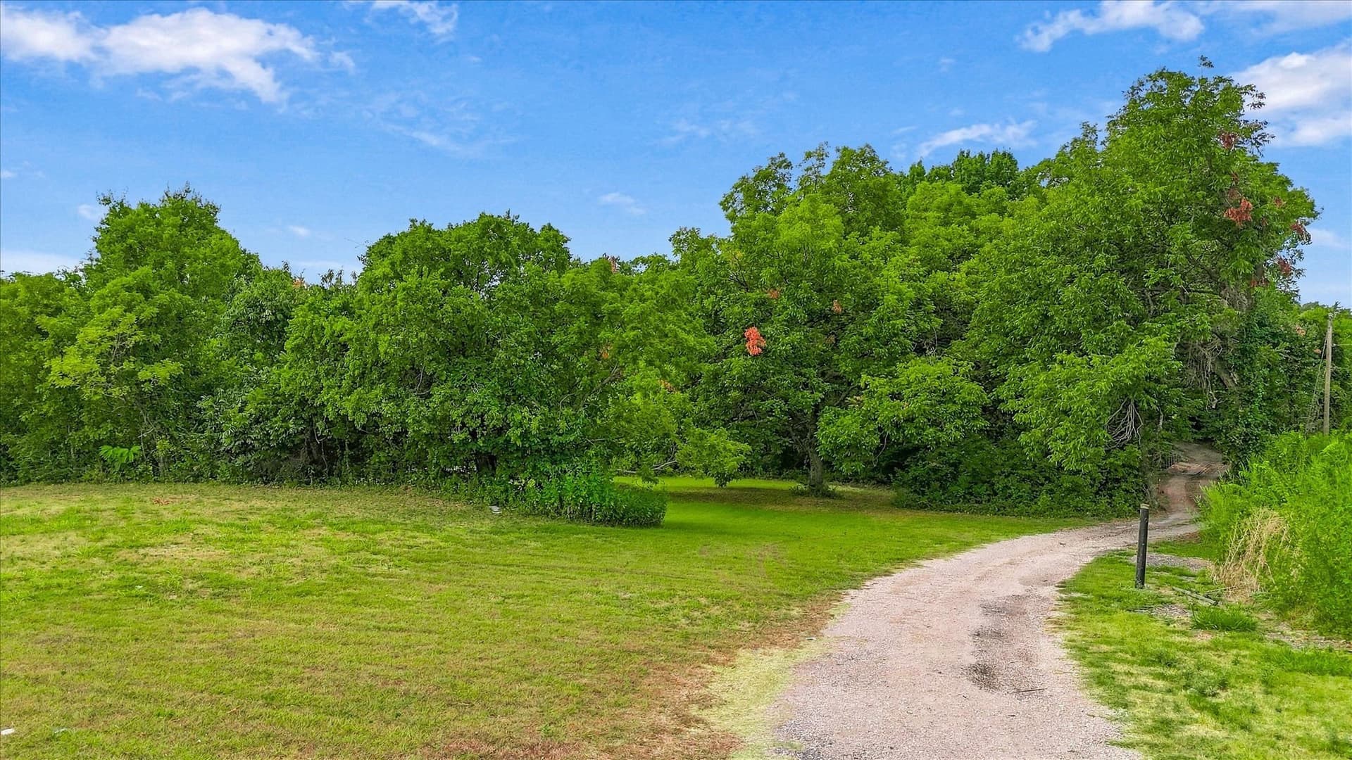 2.67 acres in Dallas County - photo 4
