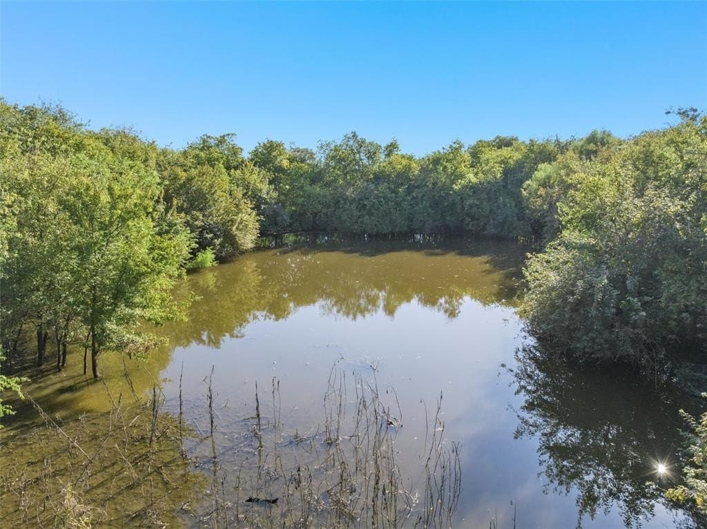 106.49 acres in McLennan County gallery image 4