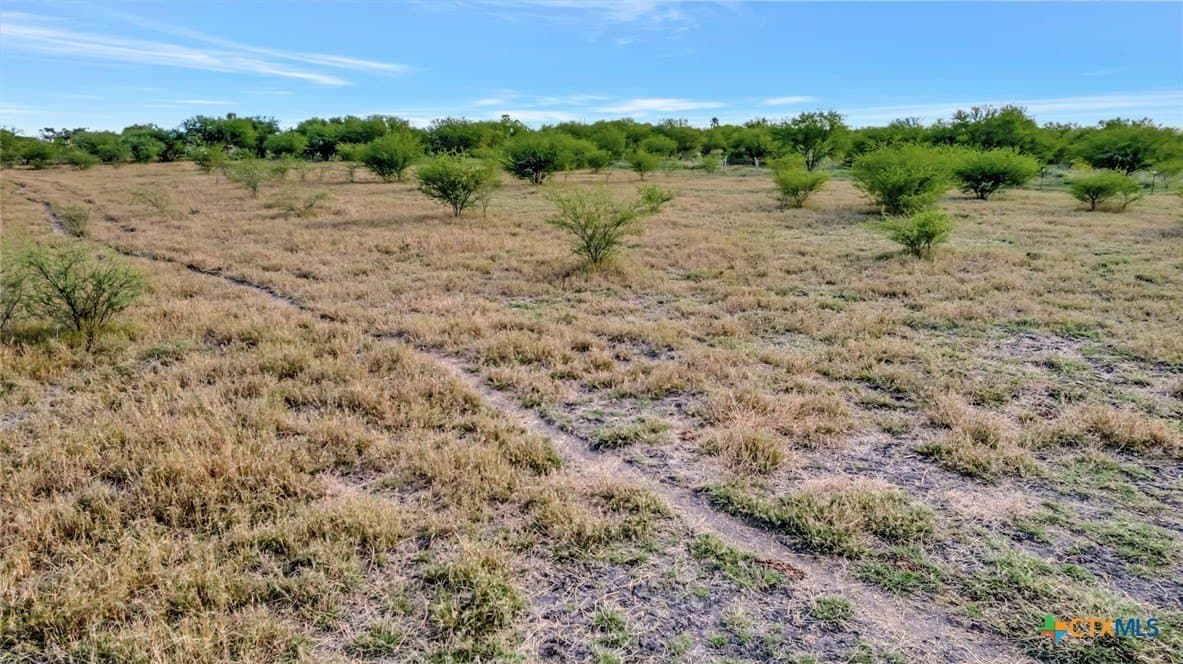 9.22 acres in Victoria County gallery image 3