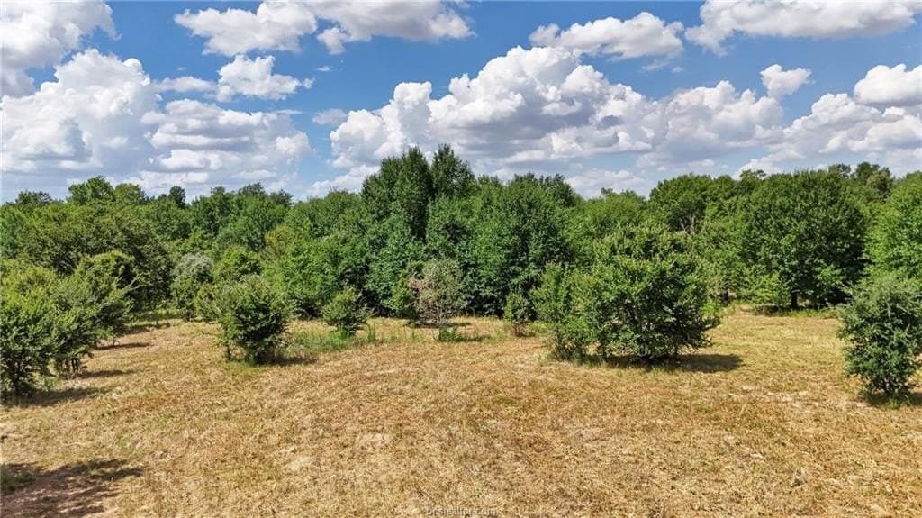 23.69 acres in Robertson County - photo 7