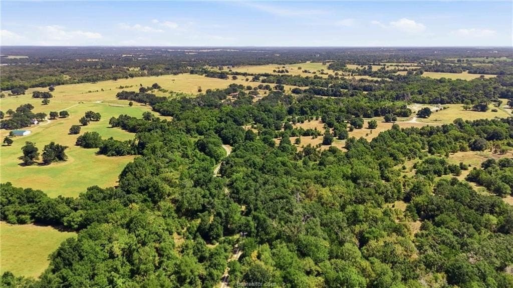 23.69 acres in Robertson County - photo 5