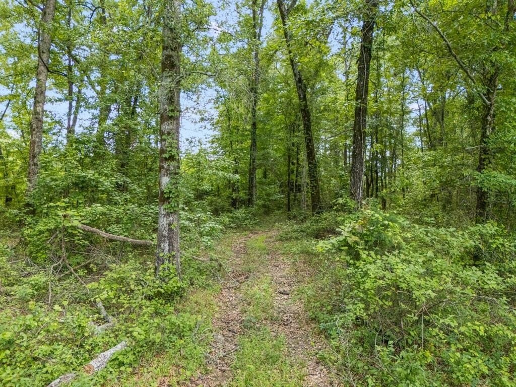 14 acres in Harrison County gallery image 2