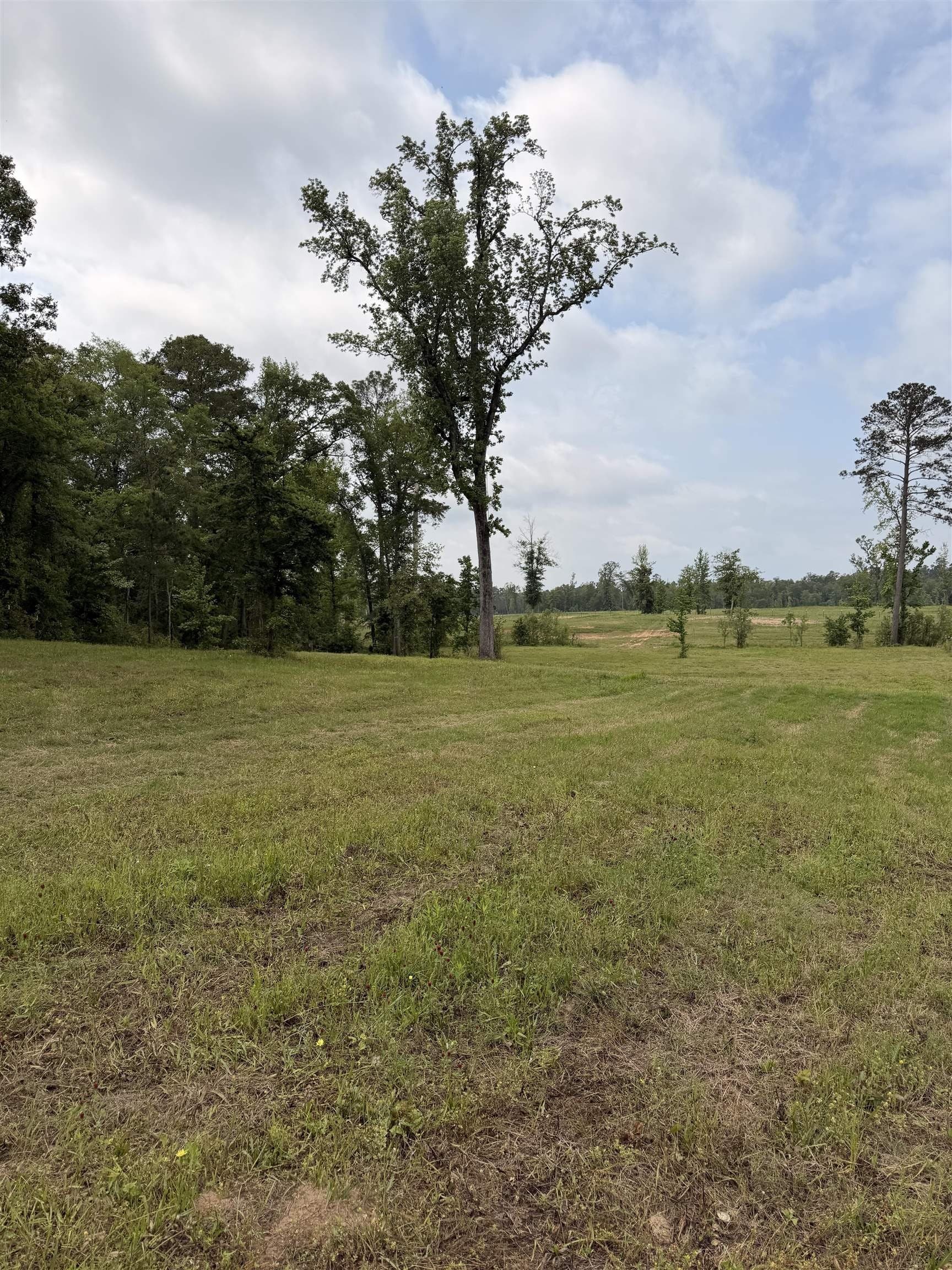 3.3 acres in Texas County gallery image 2