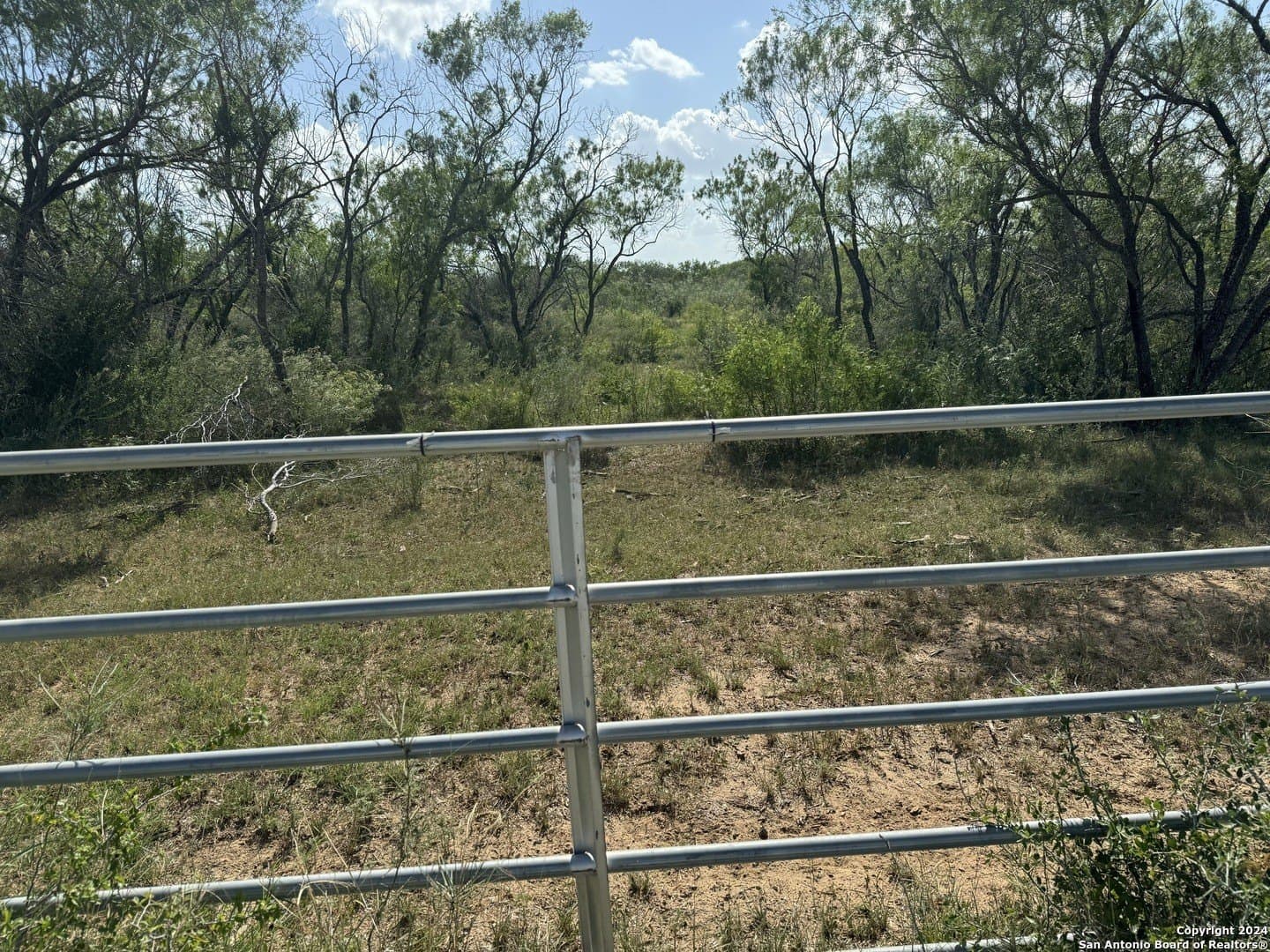 22.22 acres in Atascosa County featured view