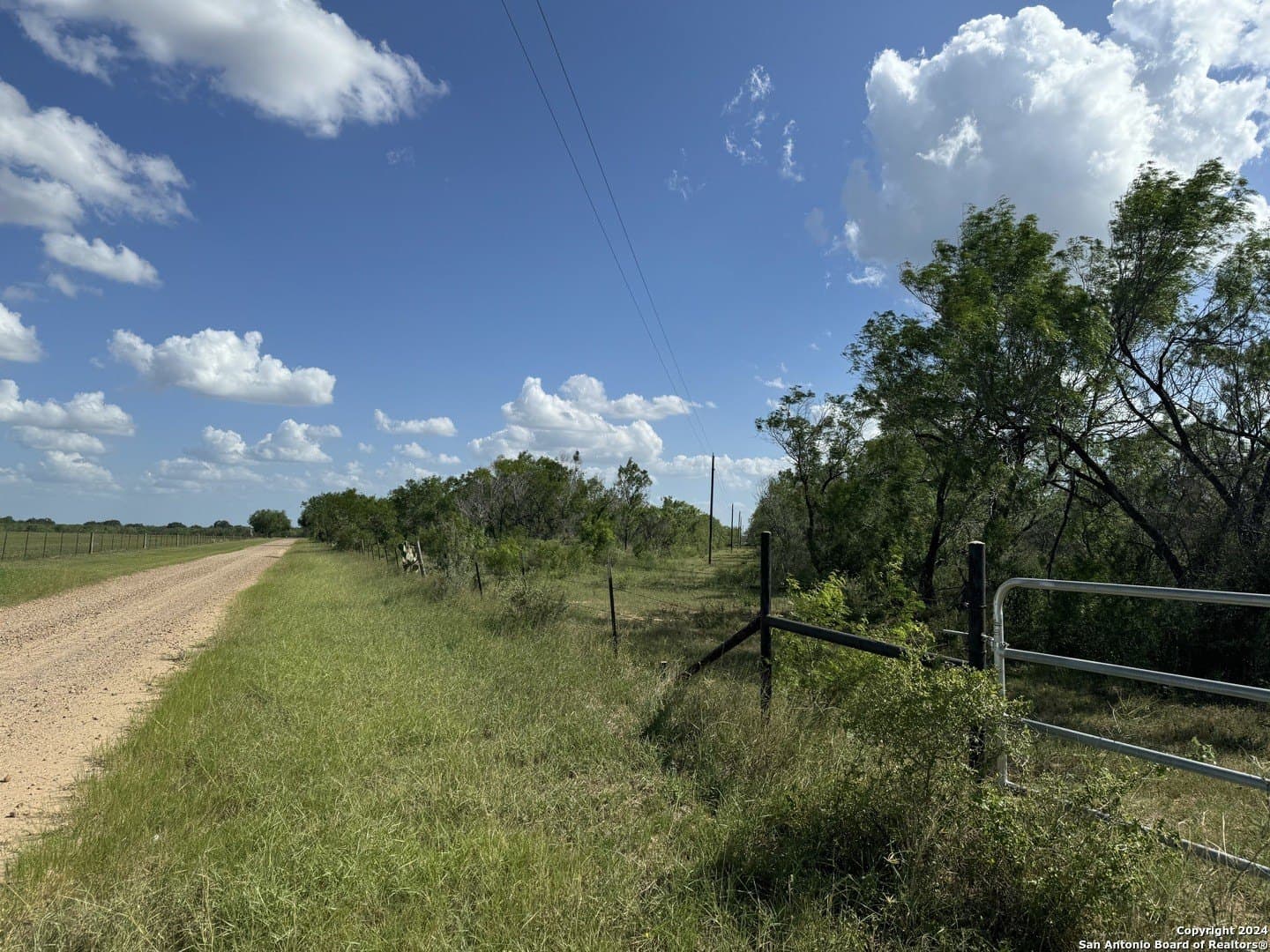 22.22 acres in Atascosa County gallery image 4