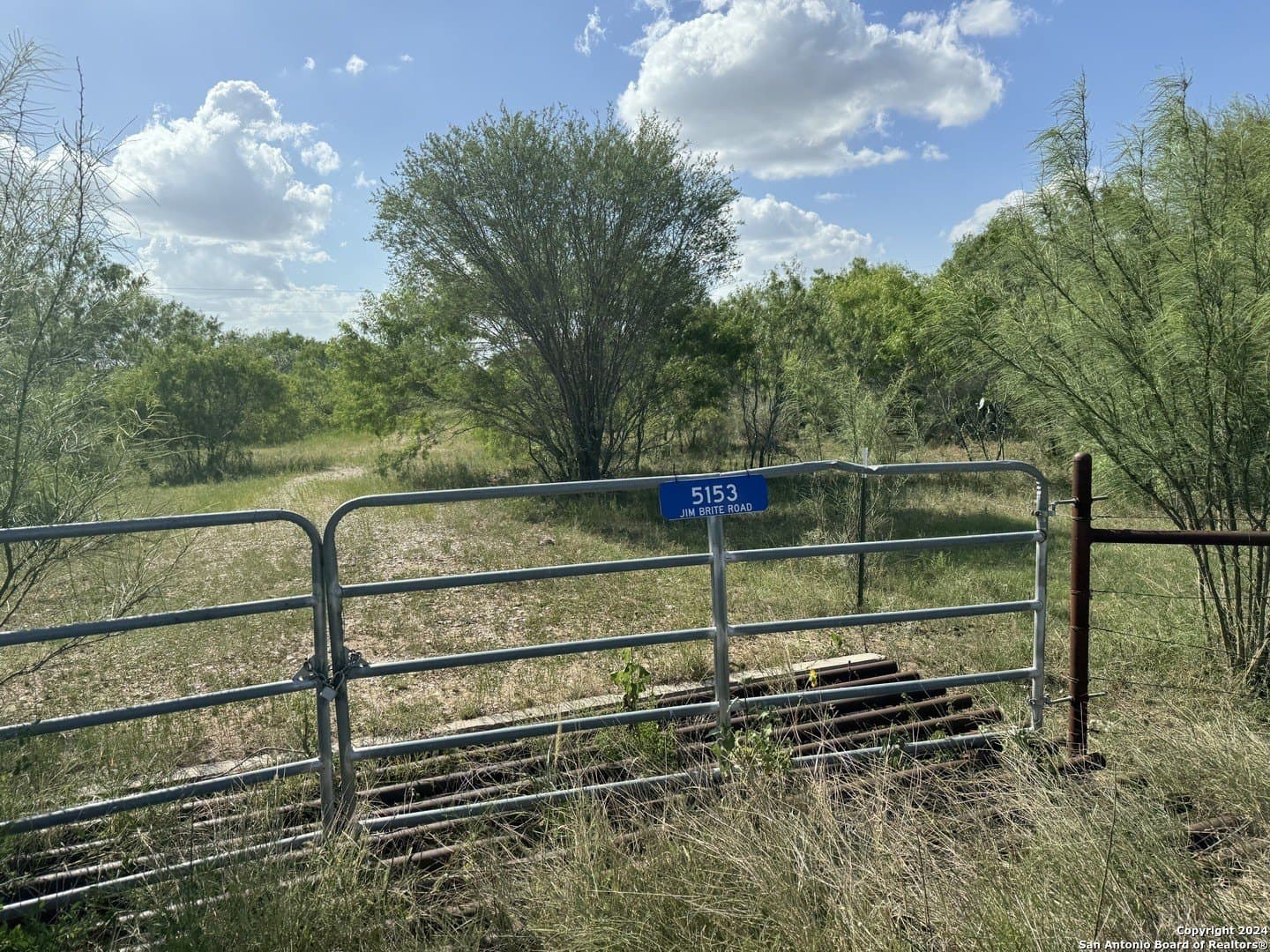 22.22 acres in Atascosa County gallery image 3
