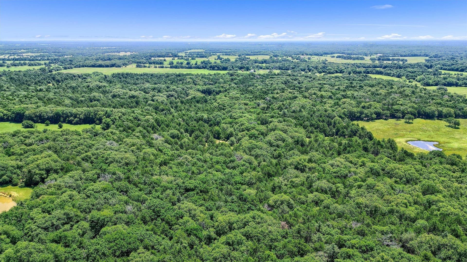 15.8 acres in Cooke County - photo 14