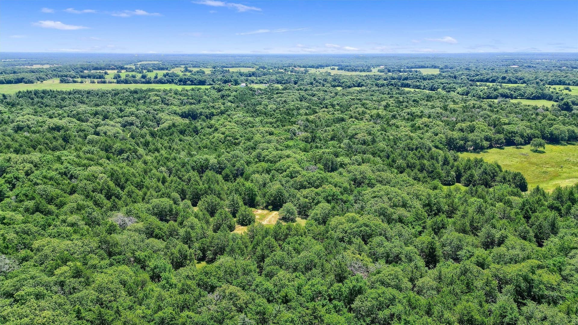 15.8 acres in Cooke County - photo 17