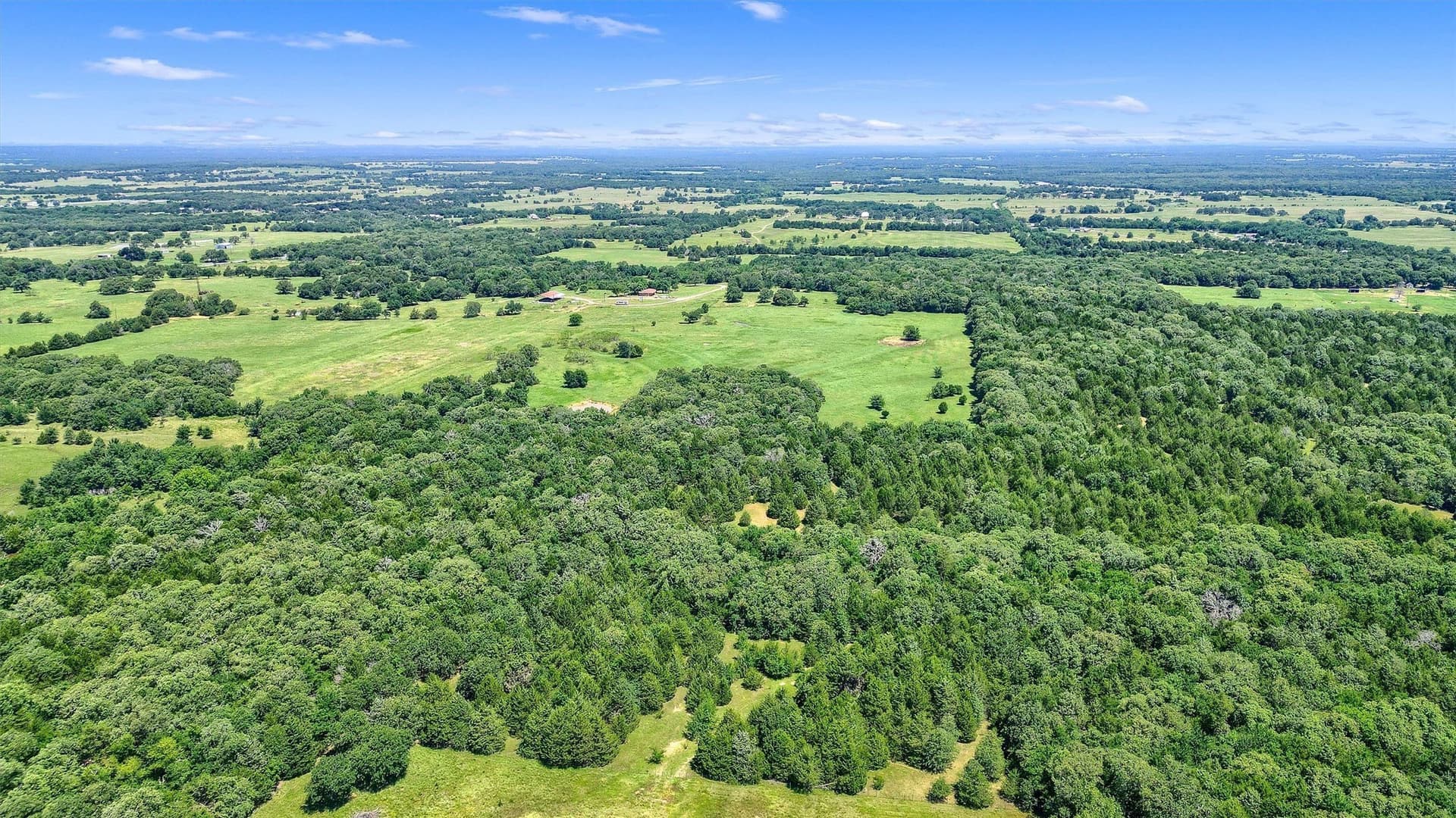 15.8 acres in Cooke County gallery image 3