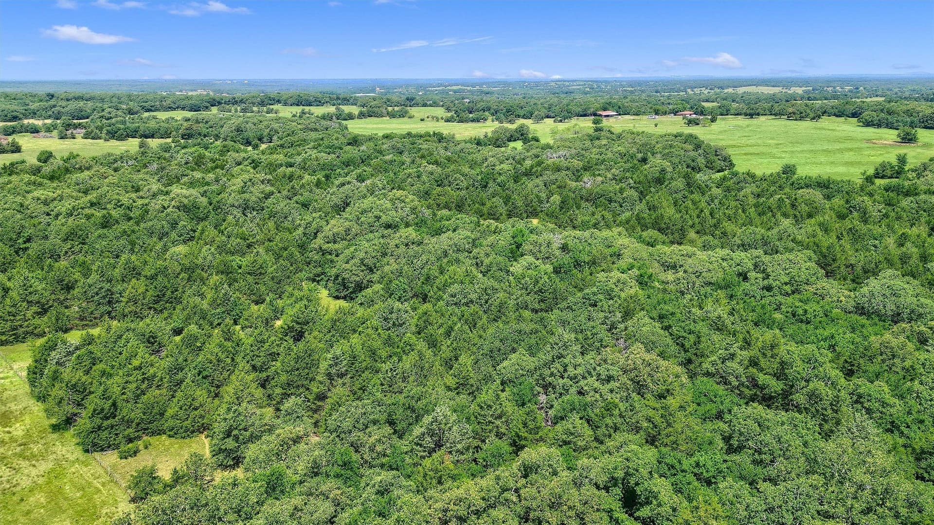 15.8 acres in Cooke County - photo 22