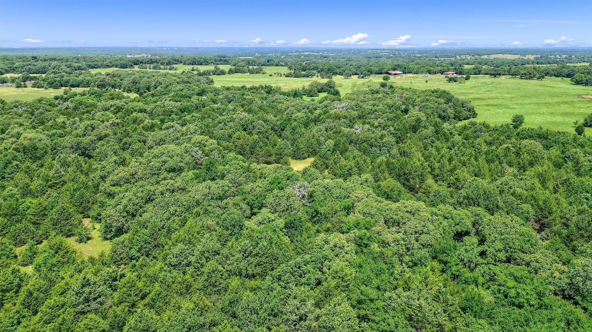 15.8 acres in Cooke County - photo 21