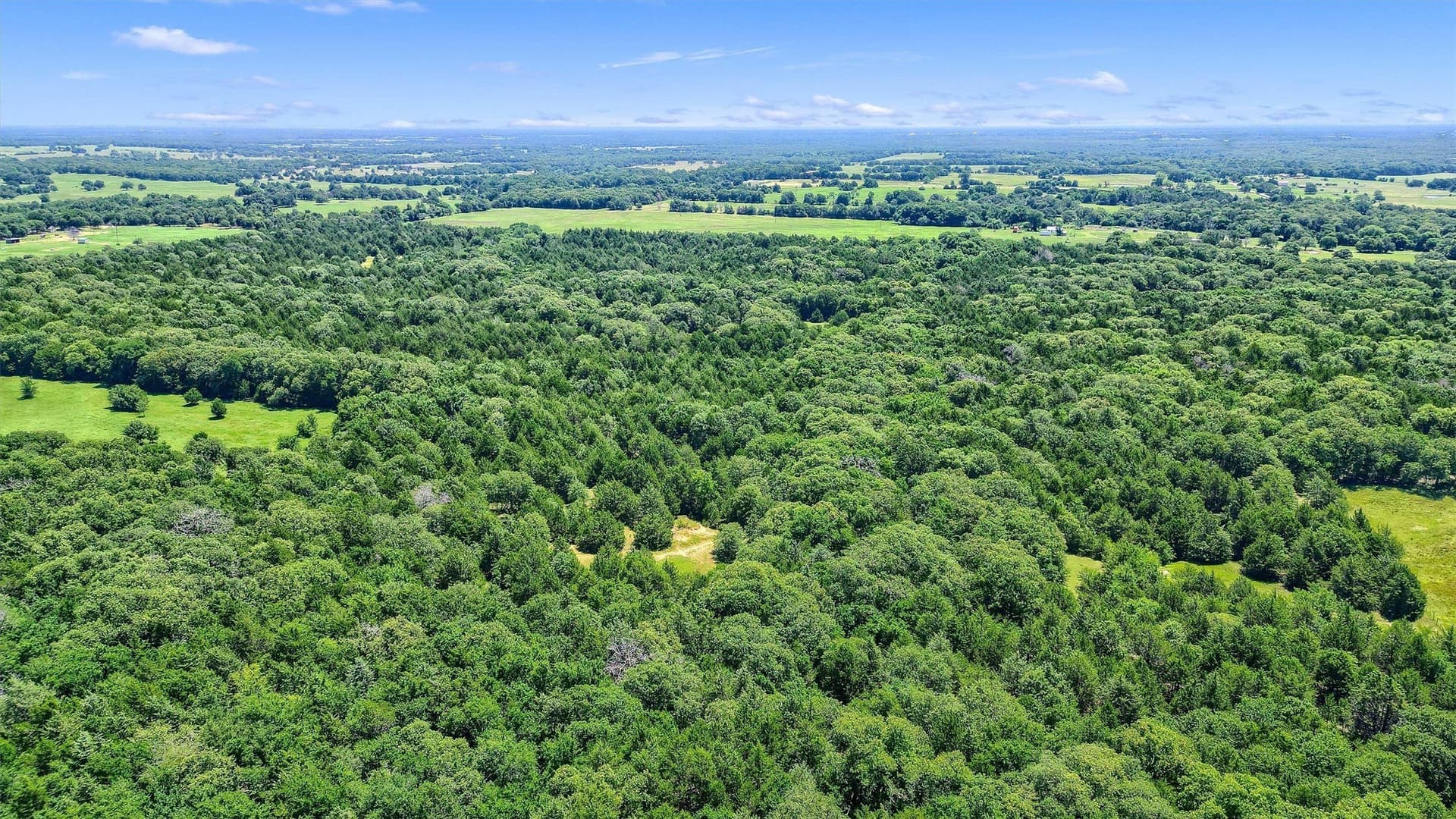 15.8 acres in Cooke County - photo 15