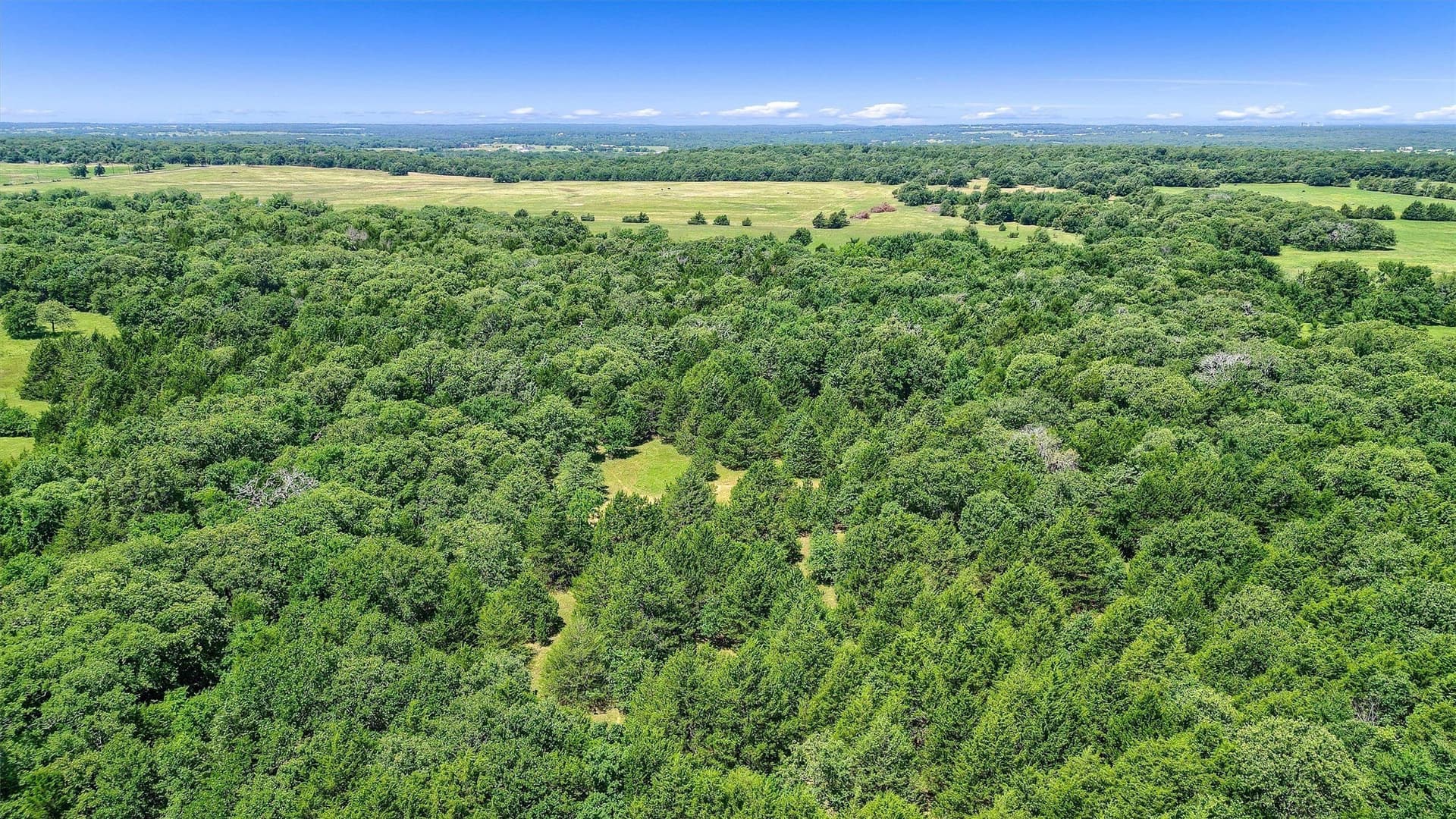 15.8 acres in Cooke County - photo 20