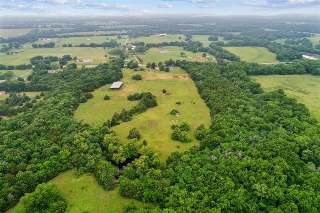 55.68 acres in Fannin County gallery image 4