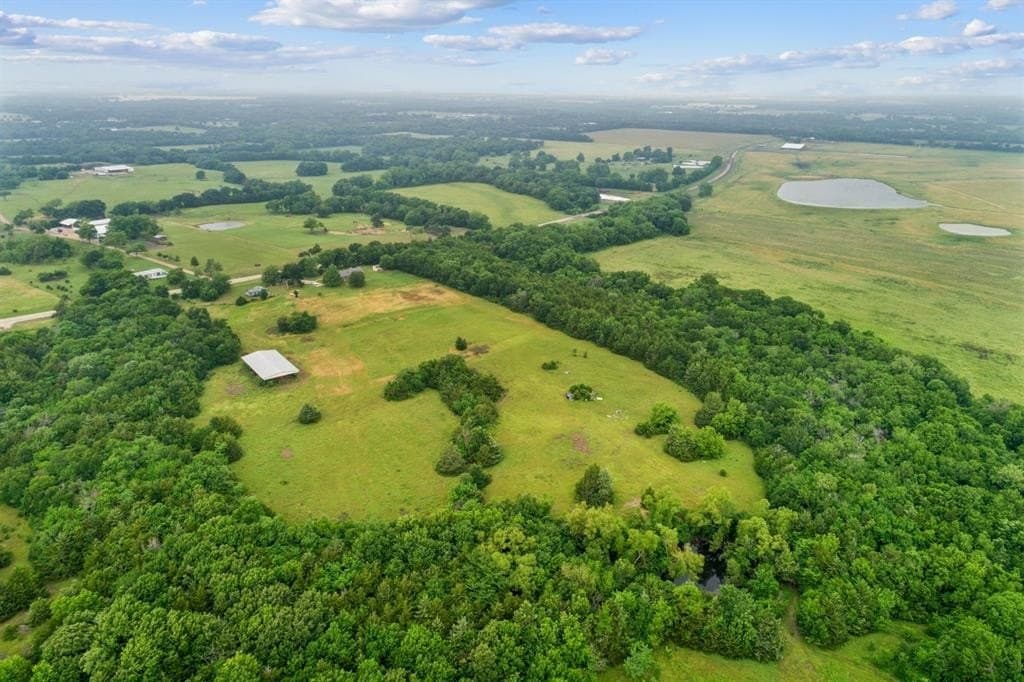 55.68 acres in Fannin County gallery image 3