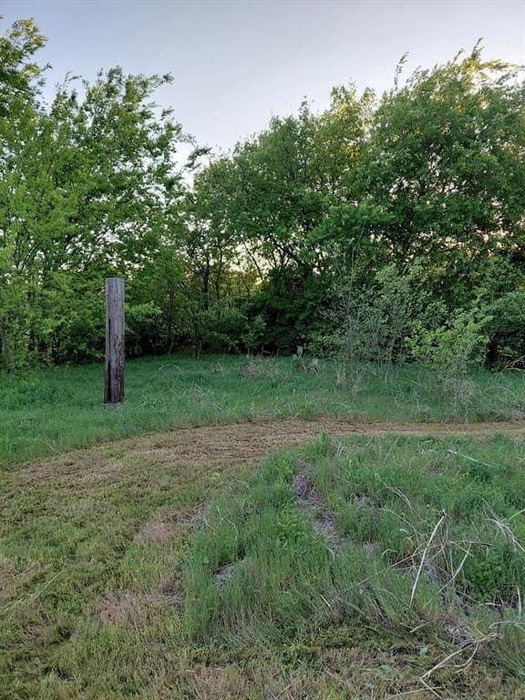 0.19 acres in Dallas County gallery image 3