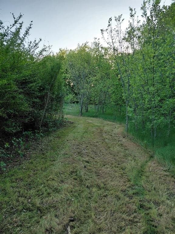 0.19 acres in Dallas County gallery image 4