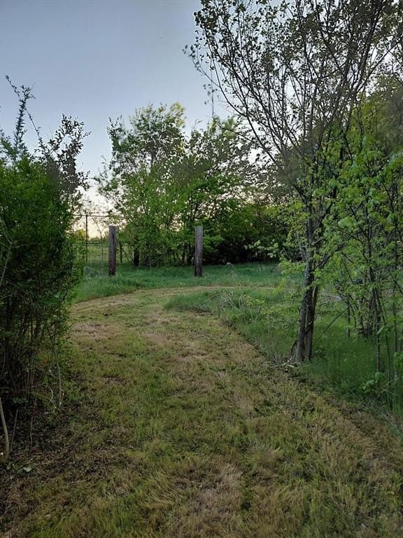 0.19 acres in Dallas County gallery image 2