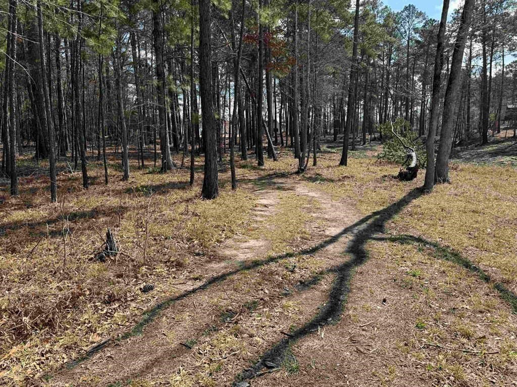 1.31 acres in Texas County featured view
