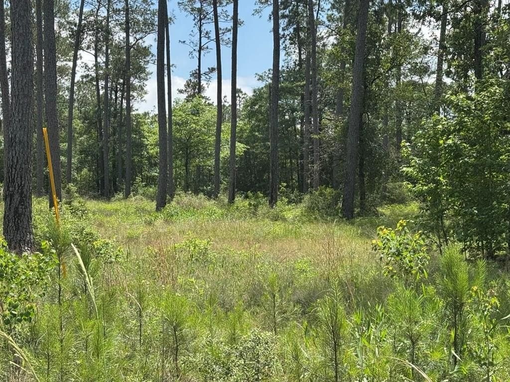 1.31 acres in Texas County