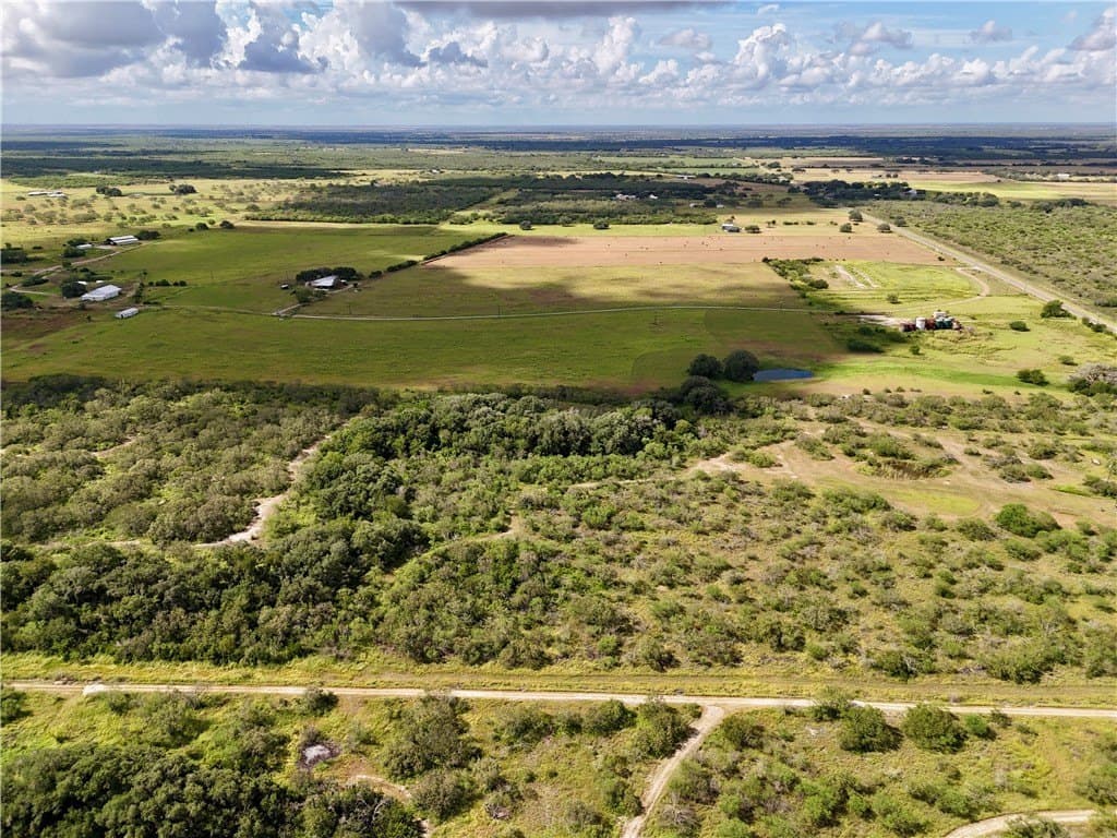 34.92 acres in Bee County gallery image 4