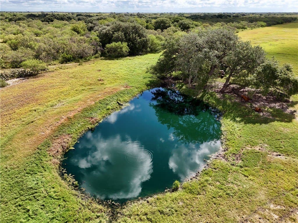 47.57 acres in Bee County - photo 31