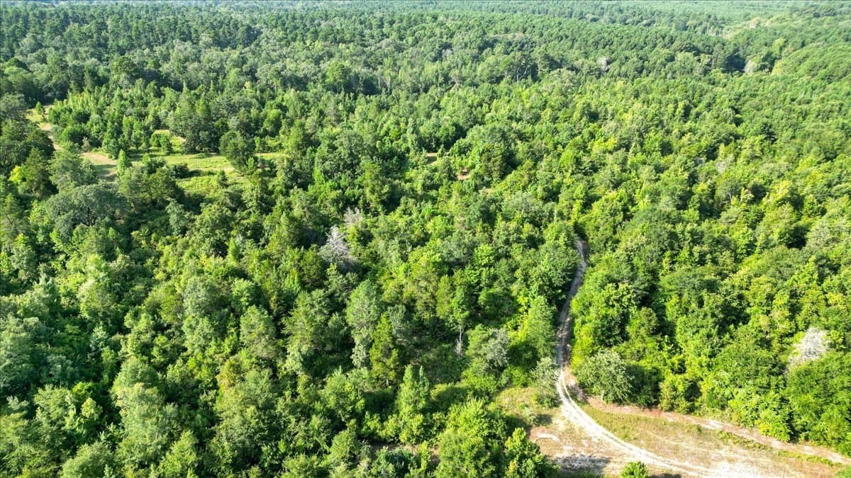 77 acres in Upshur County - photo 29